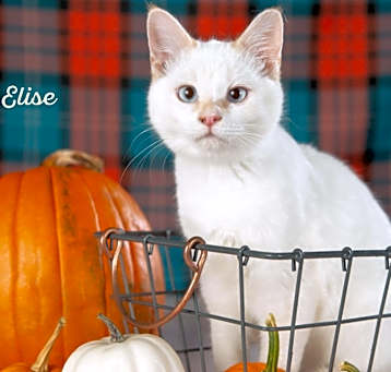 Photo of Elise