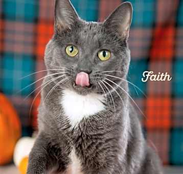 Photo of Faith