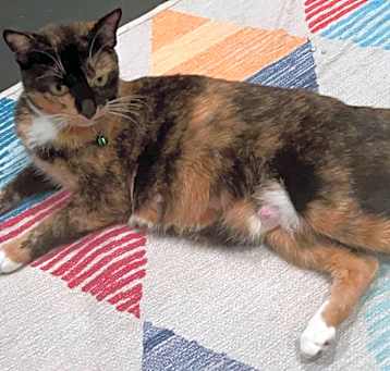 Photo of Franny