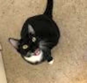 Photo of Trouble
