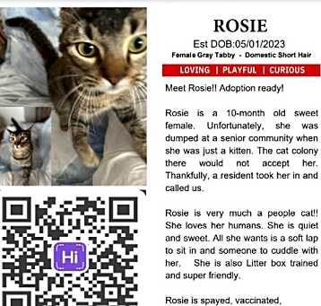 Photo of Rosie