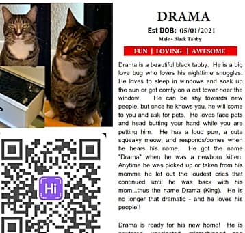 Photo of Drama