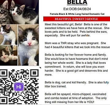 Photo of Bella