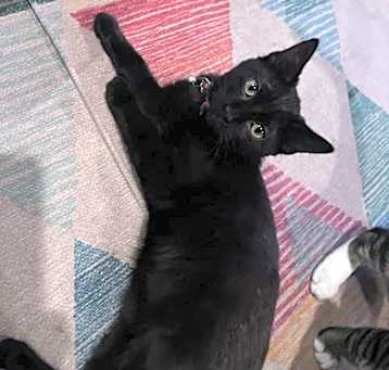 Photo of Sabrina