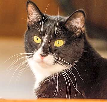 Photo of Charlie