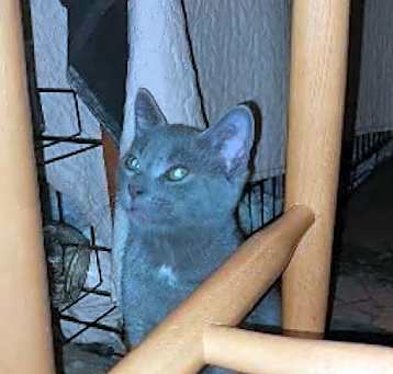 Photo of Levi