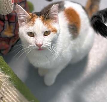Photo of Betty