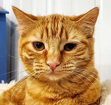 Photo of Wynona