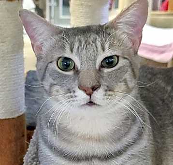 Photo of Jumbles