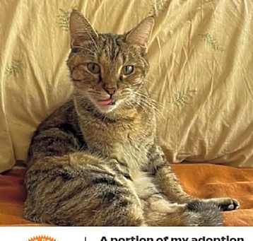 Photo of Aya Louisa C15572 (Sponsored)