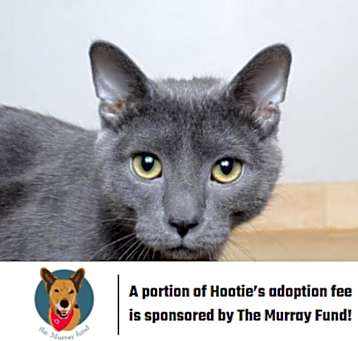 Photo of Hootie C12551 (Sponsored)