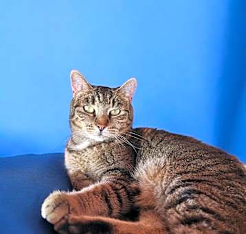 Photo of Greta