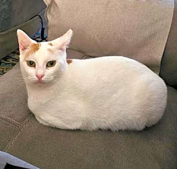 Photo of Abigail (mom)