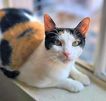 Photo of Charlee