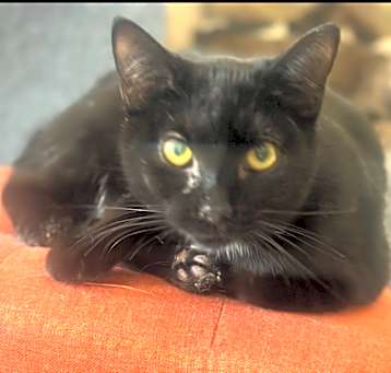 Photo of Ursula