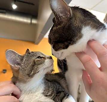 Photo of Caroline Channing - bonded with Turbo