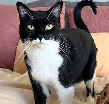 Photo of Mimi