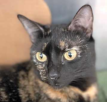 Photo of Lila Rose