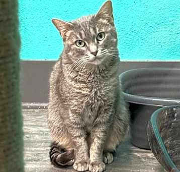 Photo of Lucy