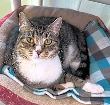 Photo of MacGregor