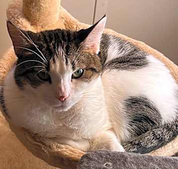 Photo of Tia