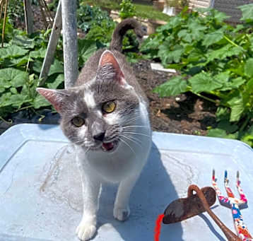 Photo of LuLu