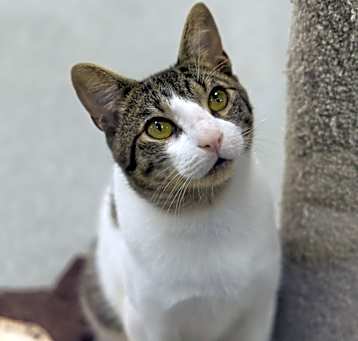 Photo of Rico
