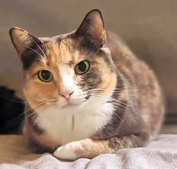 Photo of Cali