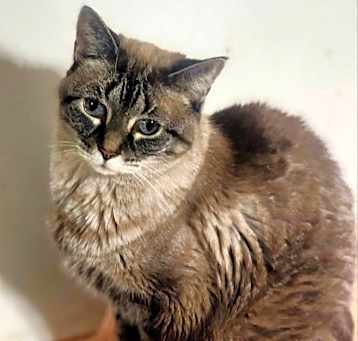 Photo of Laverne