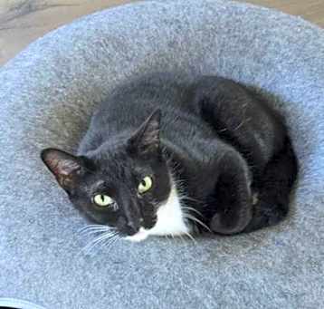 Photo of Wednesday
