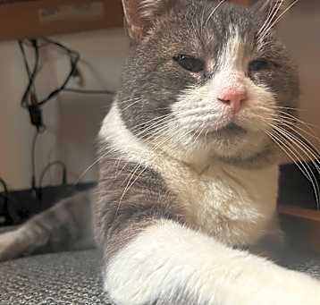 Photo of Ezra 2