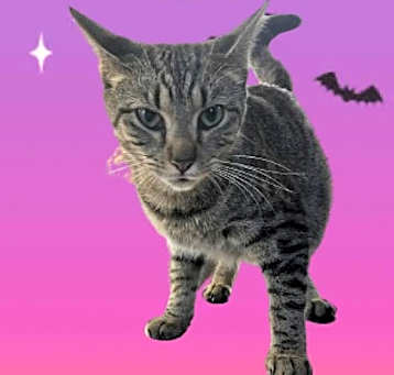 Photo of Mariah