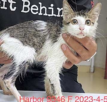 Photo of Harbor 9346