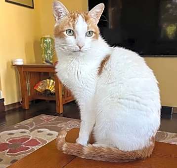 Photo of BUSTER
