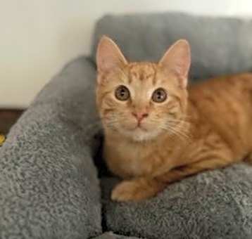 Photo of Shirley