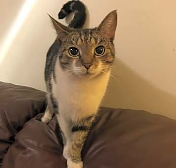 Photo of Maybel