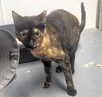 Photo of Edna