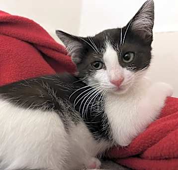 Photo of Poke