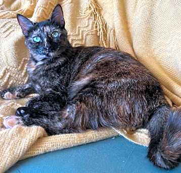 Photo of Mirna