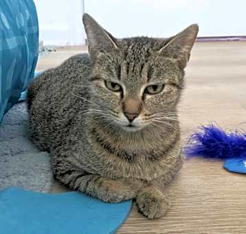 Photo of Molly