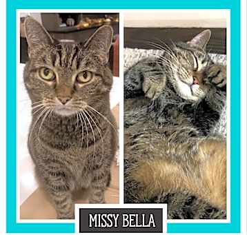 Photo of Missy Bella