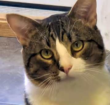 Photo of Denny