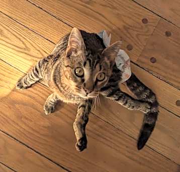 Photo of Rayquon