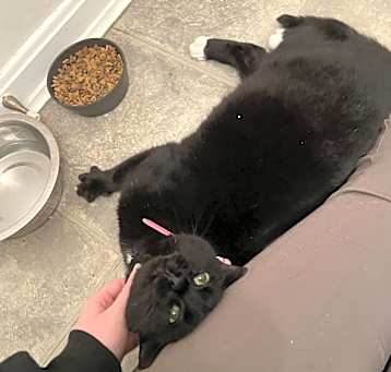 Photo of Toes