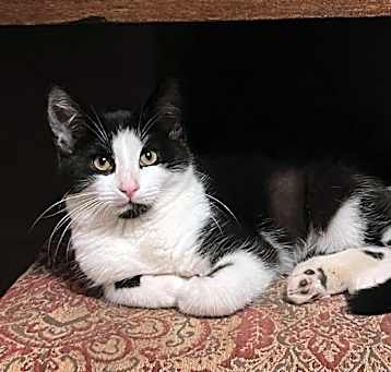Photo of Axel
