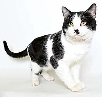 Photo of Splash