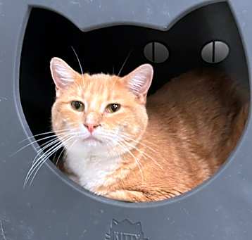 Photo of Gabby