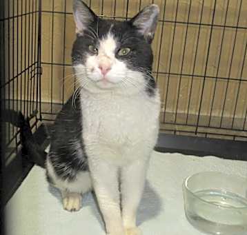 Photo of Firestone