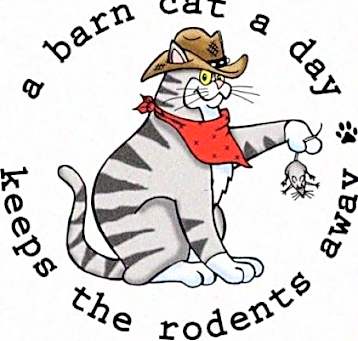 Photo of BARN CATS **FREE ADOPTION FEE**