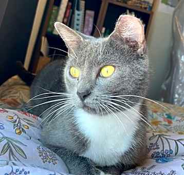 Photo of Geraldine